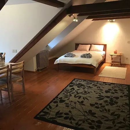 Mansard Luxury In Old Town Apartamento