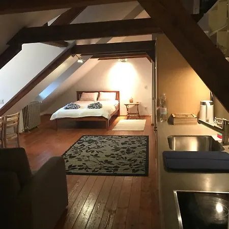 Mansard Luxury In Old Town Riga