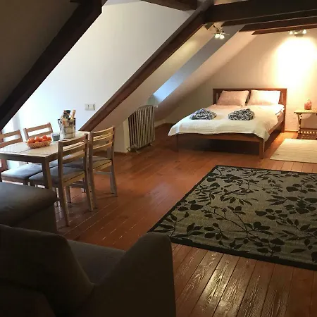 Mansard Luxury In Old Town ريغا