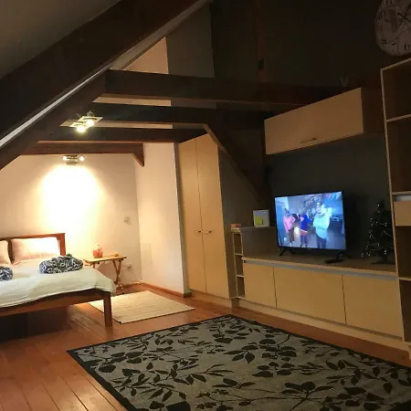 Mansard Luxury In Old Town ريغا
