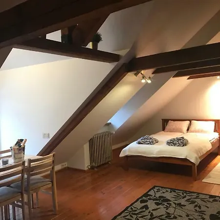Mansard Luxury In Old Town