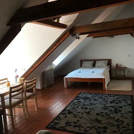 Mansard Luxury In Old Town リガ